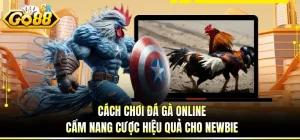 Cách Chơi Đá Gà Online - Cẩm Nang Cược Hiệu Quả Cho Newbie