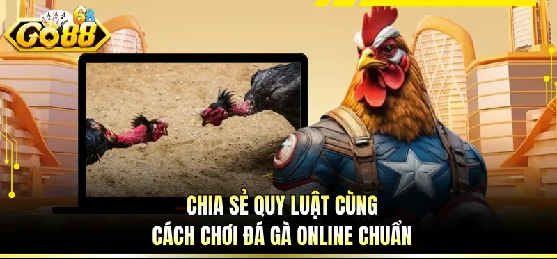 Chia sẻ quy luật cùng cách chơi đá gà online chuẩn