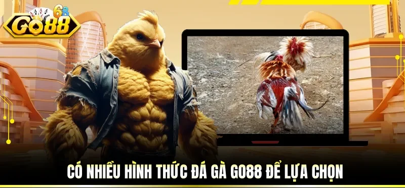 Có nhiều hình thức đá gà GO88 để lựa chọn