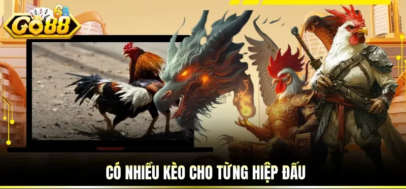 Có nhiều kèo cho từng hiệp đấu