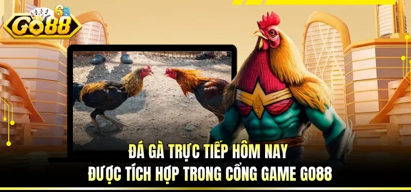 Đá gà trực tiếp hôm nay được tích hợp trong cổng game GO88