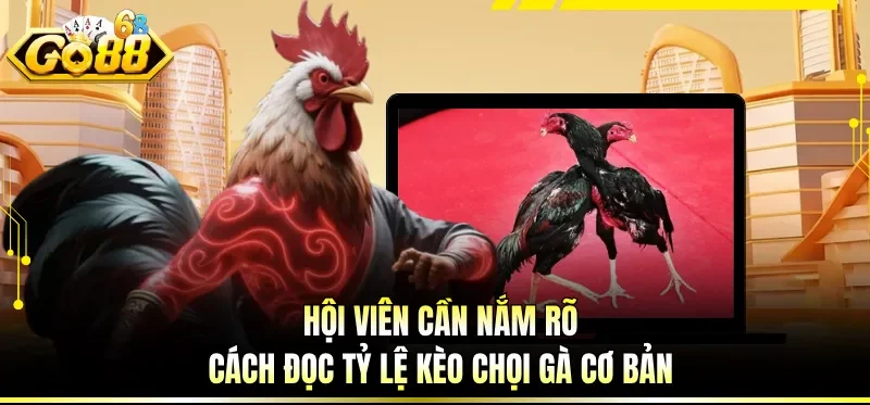 Hội viên cần nắm rõ cách đọc tỷ lệ kèo chọi gà cơ bản