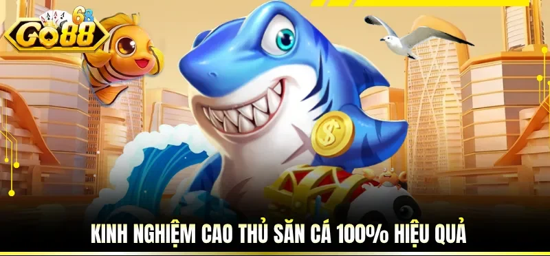 Kinh nghiệm cao thủ săn cá 100% hiệu quả