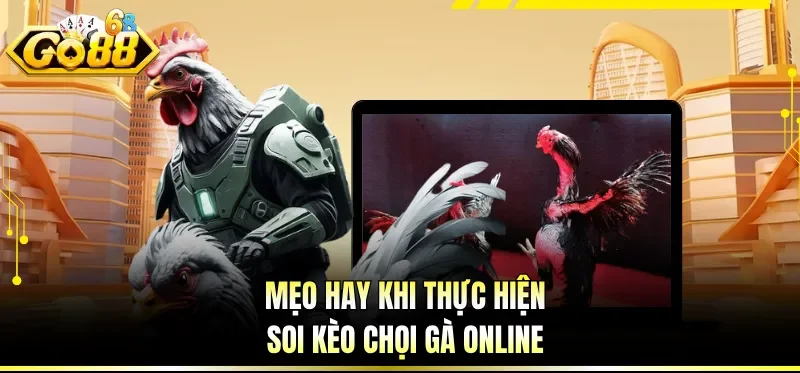 Mẹo hay khi thực hiện soi kèo chọi gà online
