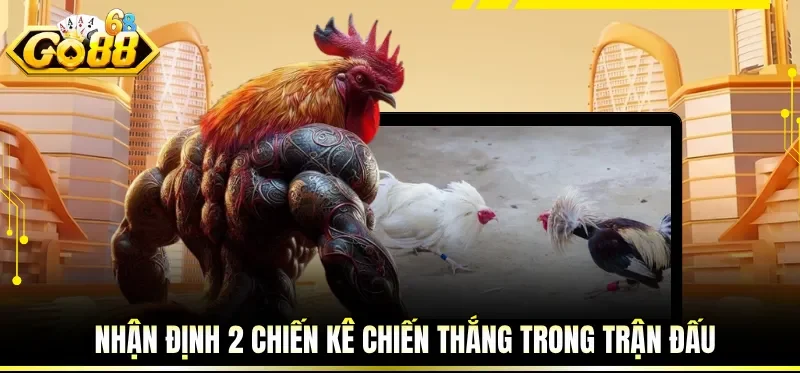 Nhận định 2 chiến kê chiến thắng trong trận đấu
