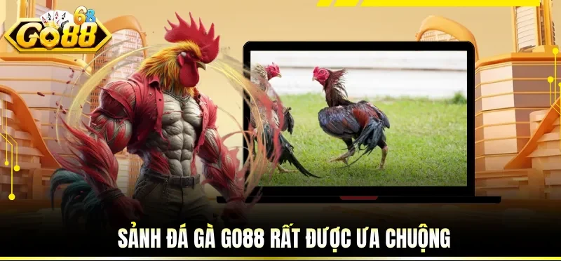 Sảnh đá gà GO88 rất được ưa chuộng